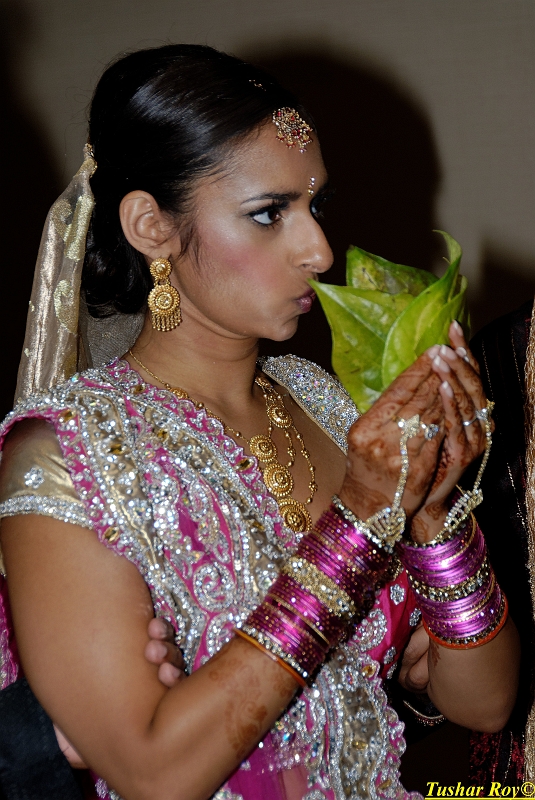 PAYAL_WEDDING-tr Image_1024.jpg